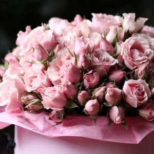 Pink spray roses in a pink signature box
